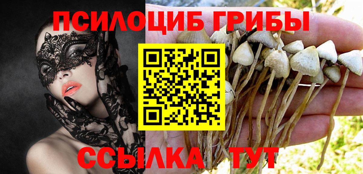 Псилоцибиновые грибы Magic Shrooms Балашов